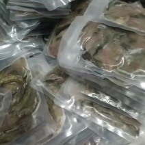 真空包装精品除骨泥鳅片便宜处理