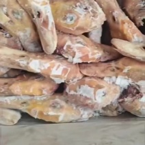 带舌填鸭头