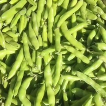 蚕豆