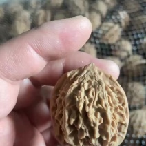 盘山公子帽5毛一个，产地直发，品质保障，有售后