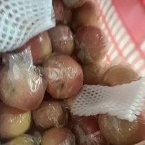 红富士苹果产地直发价格优惠支持视频看货欢迎来电洽谈