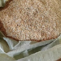 江西稻壳