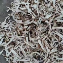 独活片子
