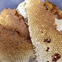 广西野生蜂蜜