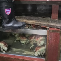 海鲜批发