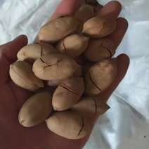 碧根果，电商果商超果，厂家直销，电商一件代发