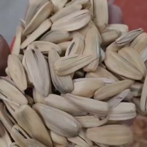 多味瓜子，1.6一斤