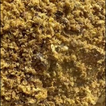 精选光籽加工，品质上乘，助力农牧业增产增效，口碑之选。