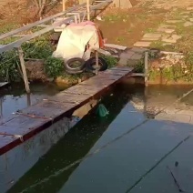 二两公