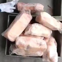 大白条鸭