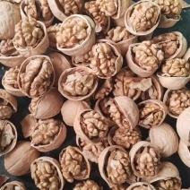 新疆185纸皮核桃