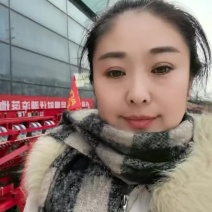 玛丽亚大蒜联合收获机大量接单厂家直发欢迎来电