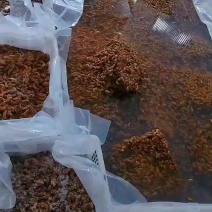 金蝉