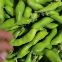 蚕豆不限量供应，电商，超市
