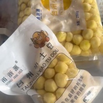 温岭坞根迷你小土豆