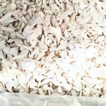 产地杏鲍菇干货***剂