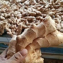 批发与零售水洗姜