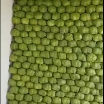 包菜