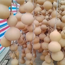 中号葫芦通货出，气质厚