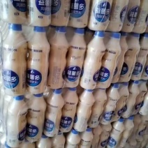 乳酸菌