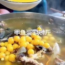 甲鱼蛋5块1斤，乌龟蛋5块，草龟蛋5块