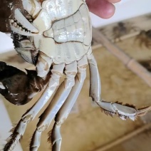 水产品