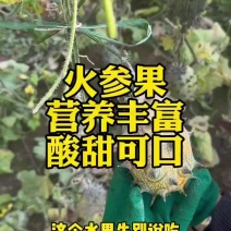 海南火参果新鲜批发全国发货