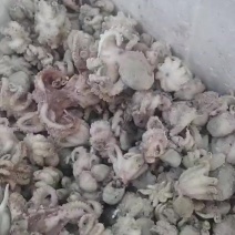 八爪鱼无冰残次品电商团购赶大集年货性价比很高