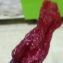新疆伊犁巩留县，肉辣皮子，微辣