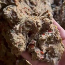 发酵饭渣大吨位供应价格优惠欢迎实地考察合作