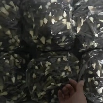 鸡枞菌，5斤6袋，一箱30斤，顺丰包邮