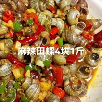 家乡的美食小吃香辣田螺4块1斤传承家乡特色美食