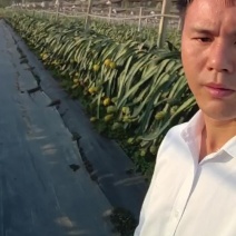 海南燕窝果什么规格都有大量有货甜度足