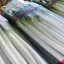 隆尚牌精品网包铁杆大葱