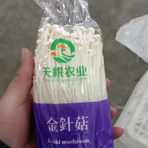 一级