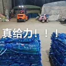 蒜苔
