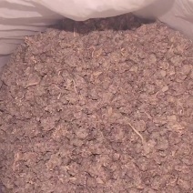 猫爪草