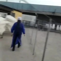 定西宽粉