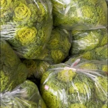精品黄心菜