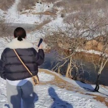 大山溜达黑猪