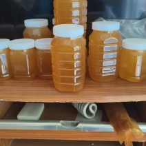 正宗土蜂蜜