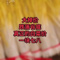 大掉价，跌到谷底，一块五六到两块大量有货