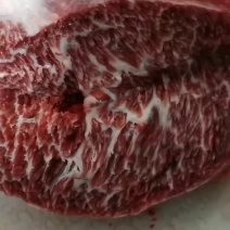现宰新鲜黄牛肉一手货源量大从优质量保证诚信经营欢迎咨询