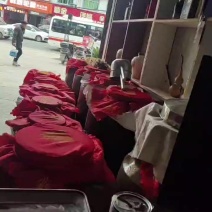散白酒自酿纯糯高粱清香型白酒52度