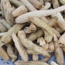 丝瓜络
