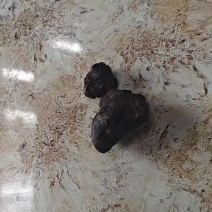 鸭宝