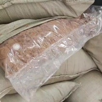 发酵饭渣出货一手货源诚信合作量大从优欢迎来电