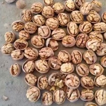 新疆阿克苏纸皮185核桃