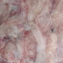 精品翘嘴白鱼泡冻板
