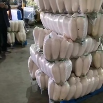 白萝卜，大量上市！产地直发！市场商超！